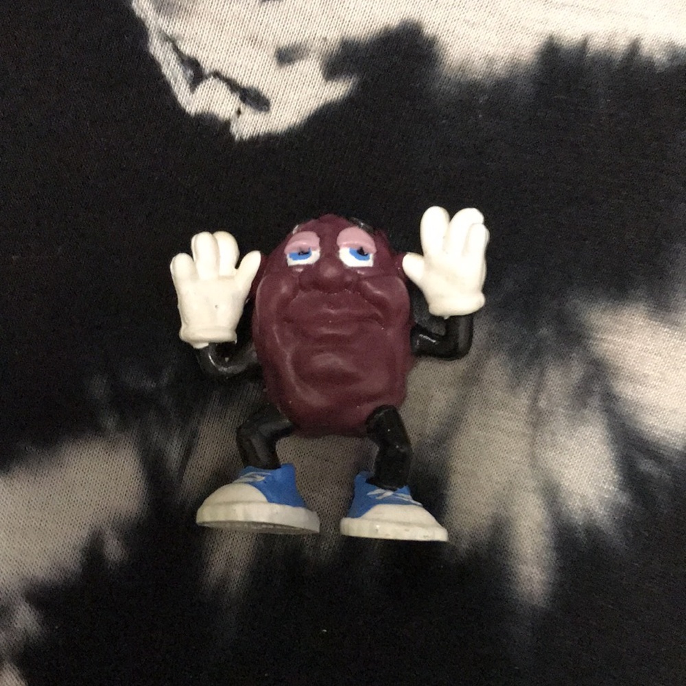 California Raisins - Picture 10 of 16